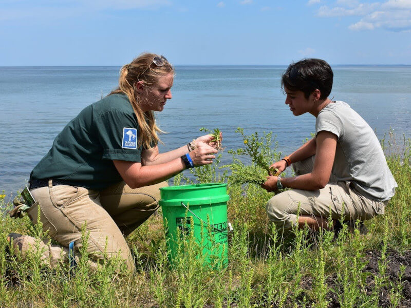 K-12 Environmental Education Slide 1